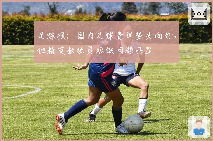 足球报:国内足球青训势头向好,但精英教练员短缺问题凸显