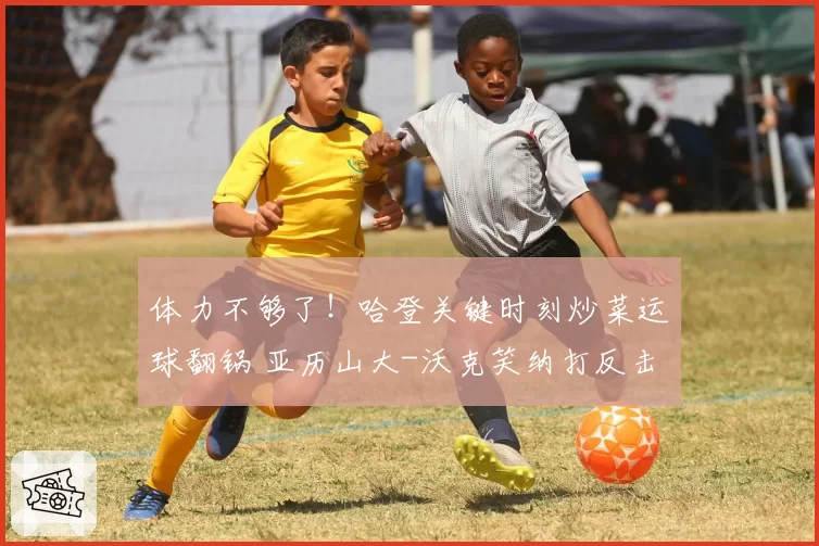 体力不够了!哈登关键时刻炒菜运球翻锅 亚历山大-沃克笑纳打反击