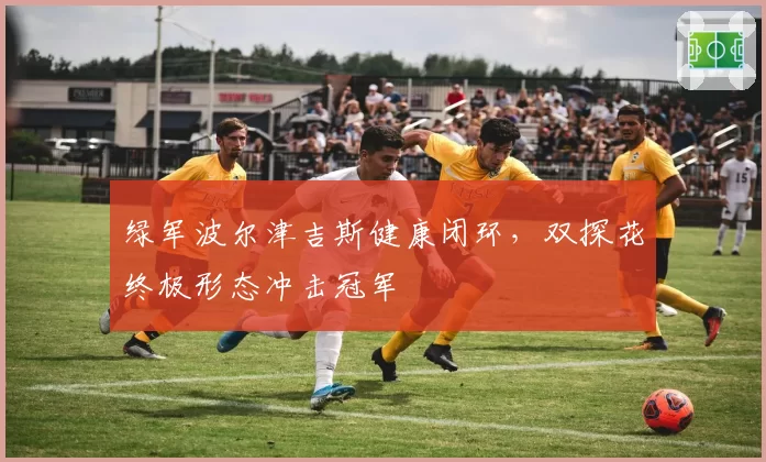 绿军波尔津吉斯健康闭环，双探花终极形态冲击冠军