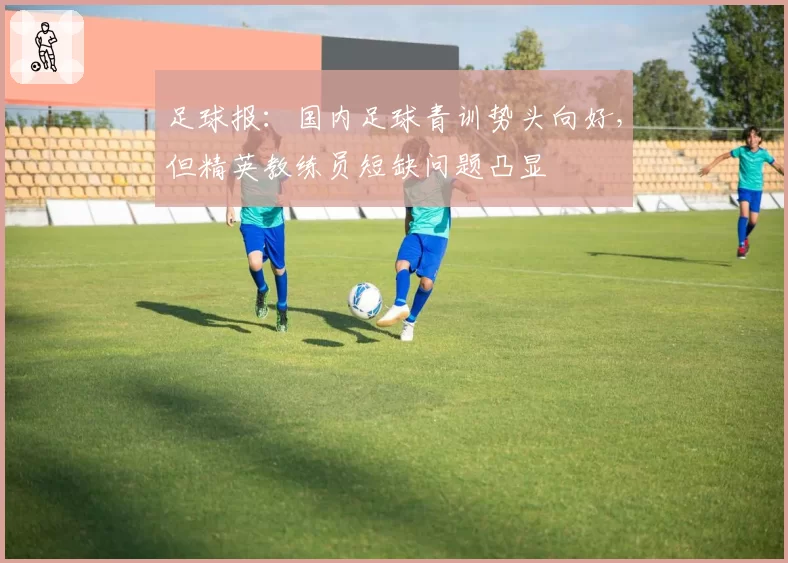 足球报:国内足球青训势头向好,但精英教练员短缺问题凸显