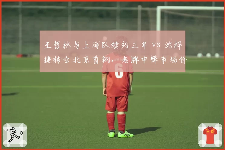 王哲林与上海队续约三年 vs 沈梓捷转会北京首钢,老牌中锋市场价值分化明显
