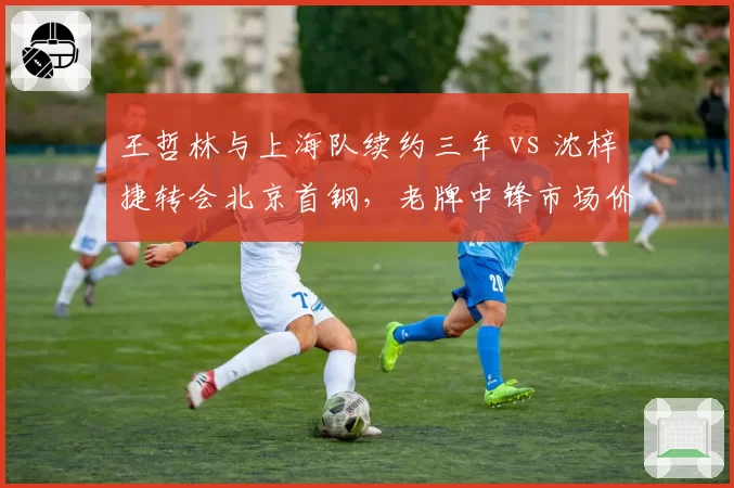 王哲林与上海队续约三年 vs 沈梓捷转会北京首钢,老牌中锋市场价值分化明显